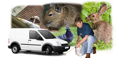 West Bromwich local van